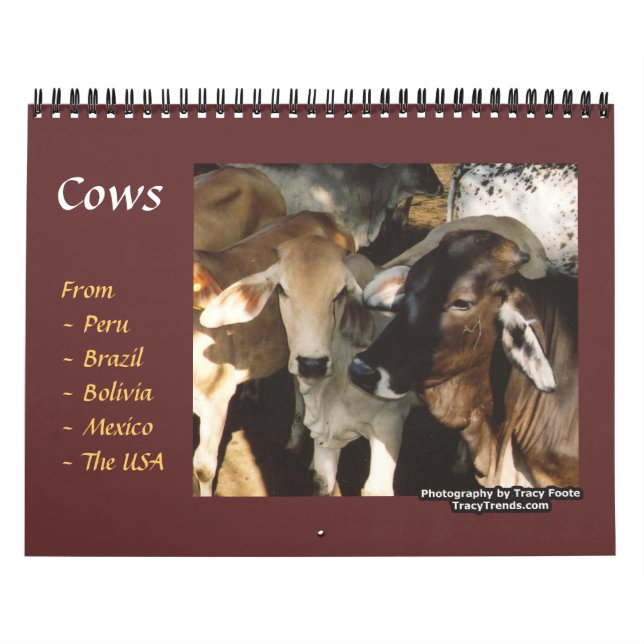 Calendrier Mural Animaux de ferme de vache (Protection)