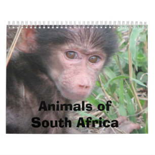 Calendrier Mural Animaux de l'Afrique du Sud