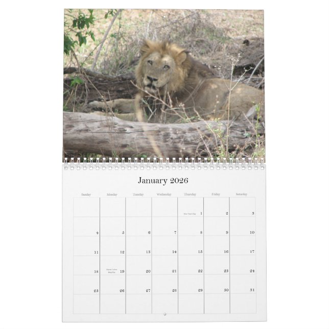 Calendrier Mural Animaux de l'Afrique du Sud (Jan 2026)