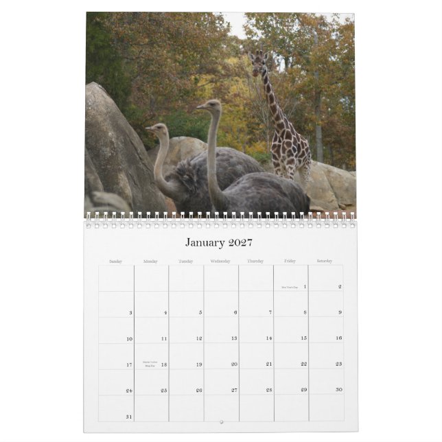 Calendrier Mural Animaux de zoo (Jan 2027)