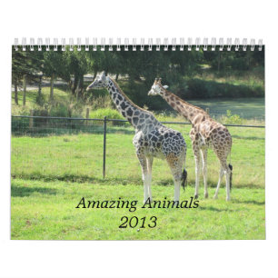 Calendrier Mural Animaux Extraordinaires 2013