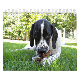 Calendrier Mural Animaux familiers