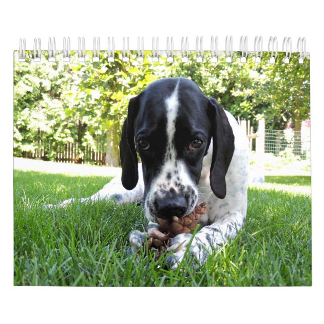 Calendrier Mural Animaux familiers (Protection)