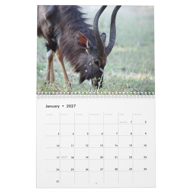 Calendrier Mural Animaux sud-africains (Jan 2027)