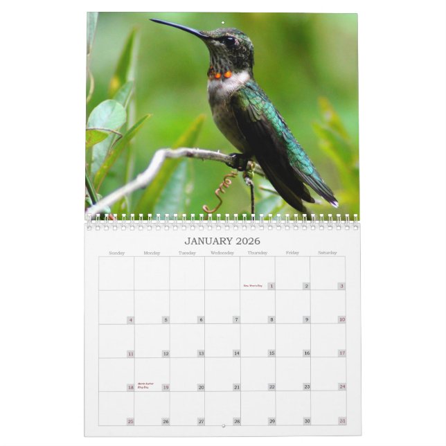 Calendrier Mural Année de colibris 'ronde (Jan 2026)