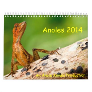 Calendrier Mural Anoles 2014
