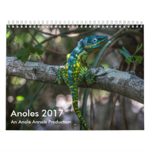 Calendrier Mural Anoles 2017 - Une production d'annales d'Anole