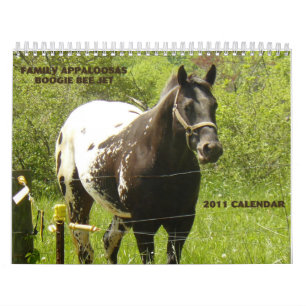 Calendrier Mural Appaloosas 2011 de famille
