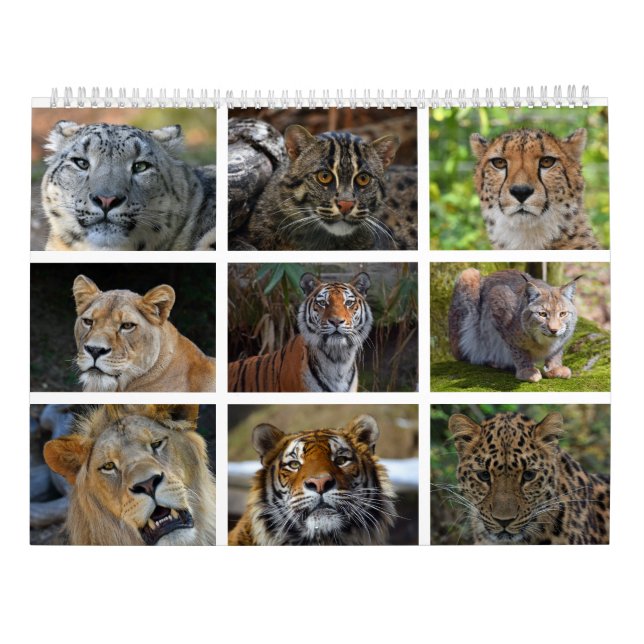 Calendrier mural avec des photos des chats (Dos)