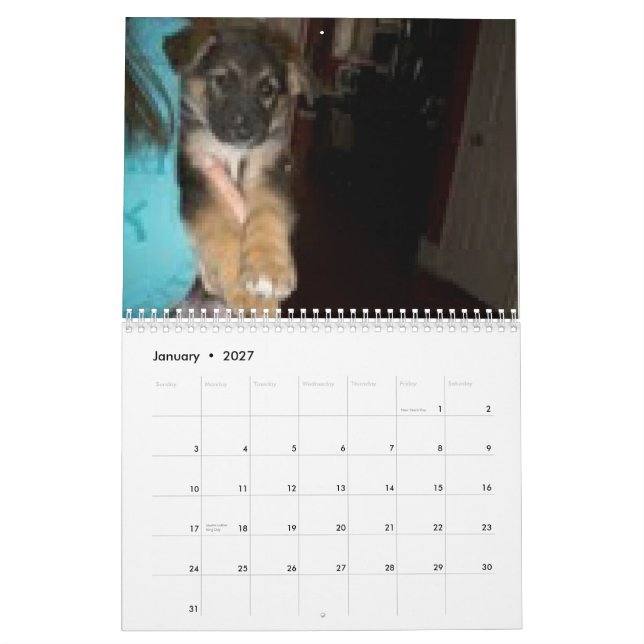 Calendrier Mural Baja/Hercule (Jan 2027)