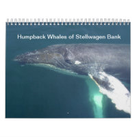 Baleines de bosse de banque de Stelwagen