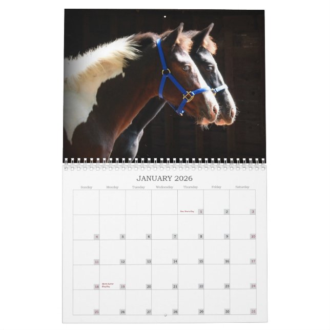 Calendrier Mural Beaux animaux de ferme (Jan 2026)