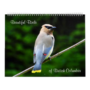Calendrier Mural Beaux oiseaux de Colombie-Britannique