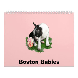 Calendrier Mural Bébés 2 de Boston