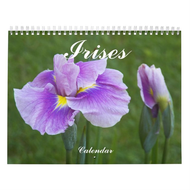 Calendrier Mural Belle Irises Floral Photographie (Protection)