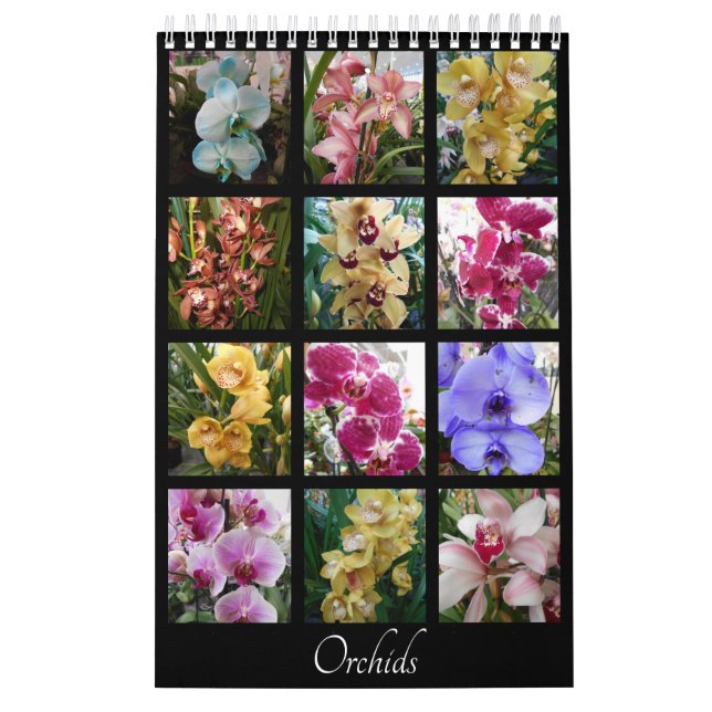Calendrier Mural Belles Orchidées (Protection)