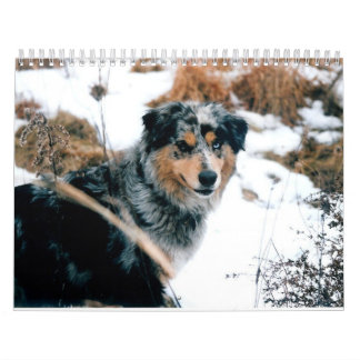 Calendrier Mural Berger australien Calander