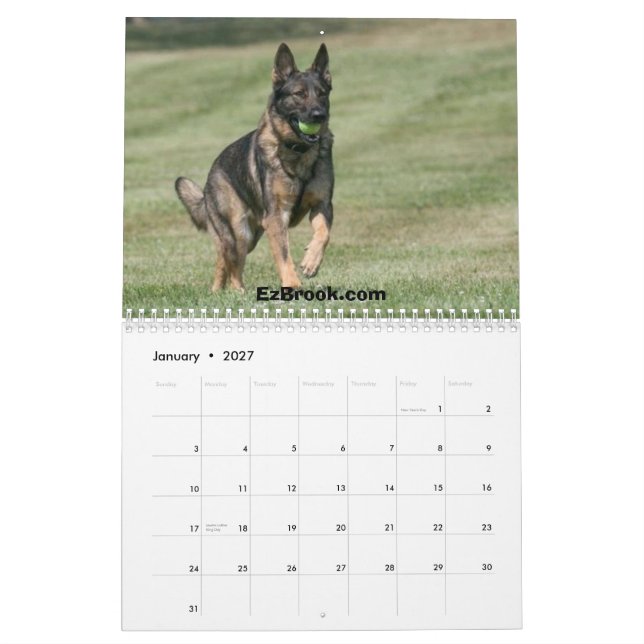 Calendrier Mural Bergers allemands dans l'action (Jan 2027)