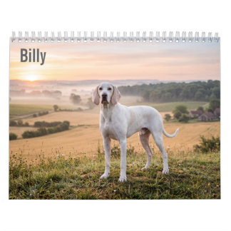 Calendrier mural Billy 2027