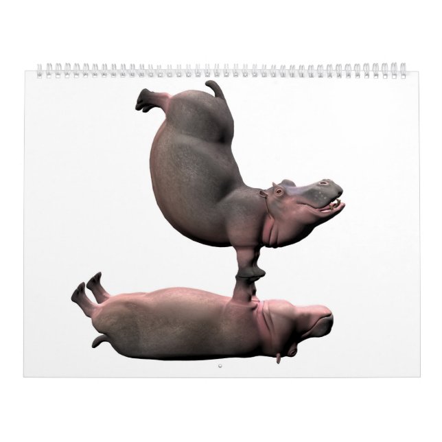 Calendrier Mural Bizarre hippopotames amusants 2025 Kalender (Protection)