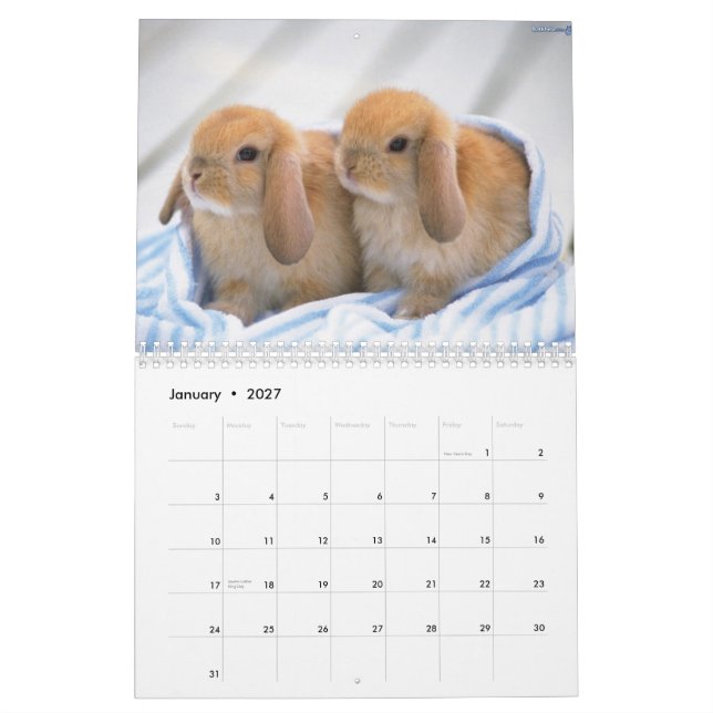 Calendrier Mural Bonnets mignons (Jan 2027)