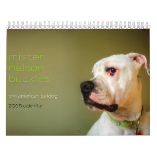Calendrier Mural Boucles de Monsieur Nelson : Le bouledogue