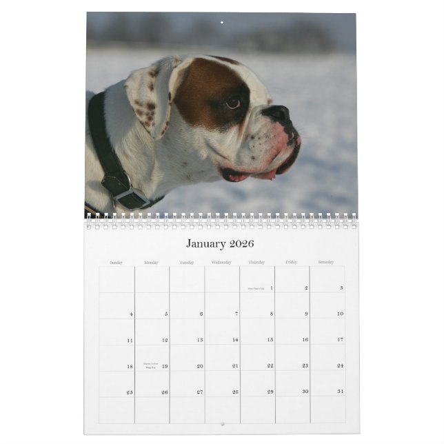 Calendrier Mural Boxeur (Jan 2026)