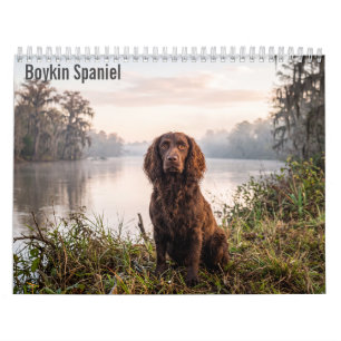 Calendrier mural Boykin Spaniel 2027