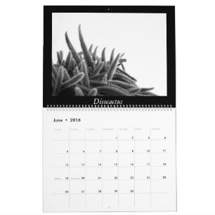 Calendrier Mural Cactus monochromes 2016