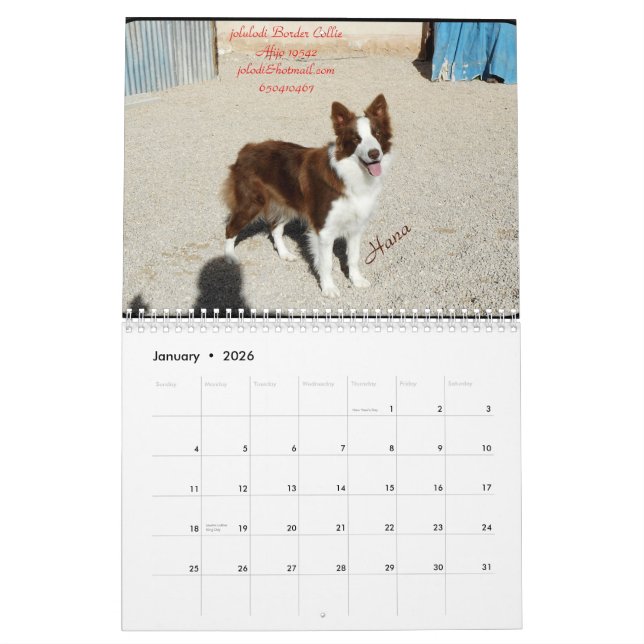 Calendrier Mural Calendario (Jan 2026)