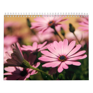 Calendrier Mural Calender à fleurs