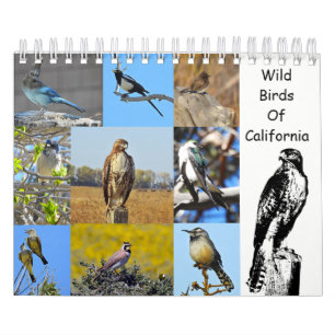 Calendrier Mural Calendrier, faune, oiseaux sauvages de la