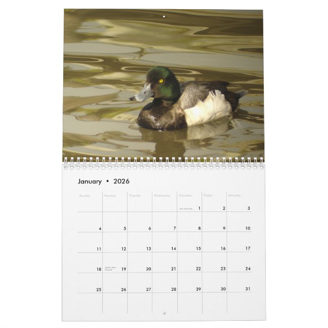Calendrier Mural Canards de l'Amérique du Nord 2010 (Jan 2026)