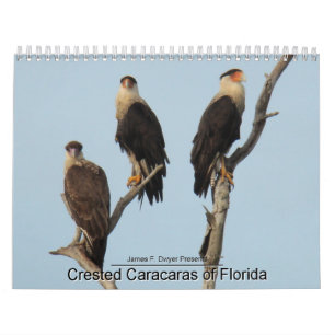 Calendrier Mural Caracaras de la Floride