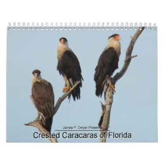 Calendrier Mural Caracaras de la Floride