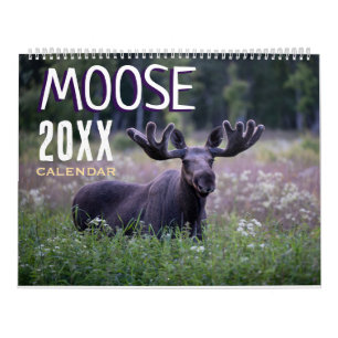 Calendrier mural Cerf 2027 Faune Animaux