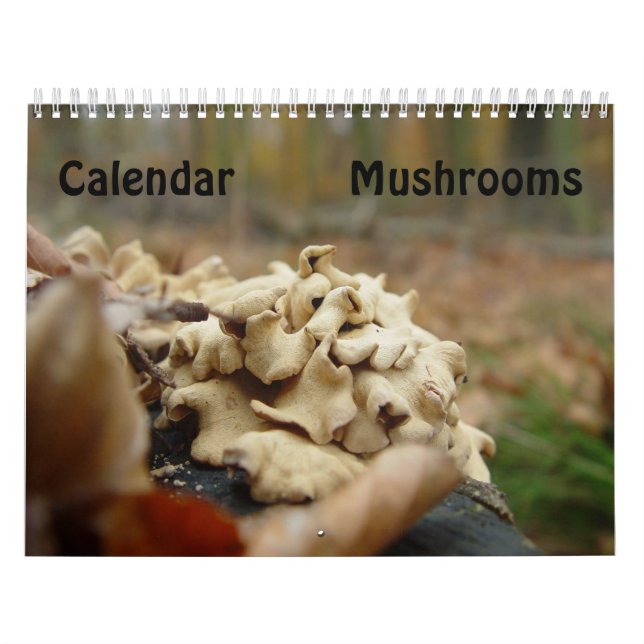 Calendrier Mural Champignons (Protection)