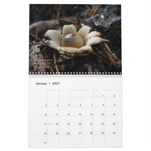 Calendrier Mural Champignons de l'Orégon occidental, 2011 (Jan 2027)