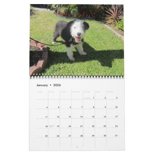 Calendrier Mural Changement de 2012 juin de chiots (Jan 2026)