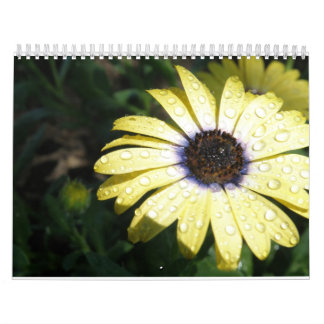 Calendrier Mural chaque jour est une nouvelle fleur
