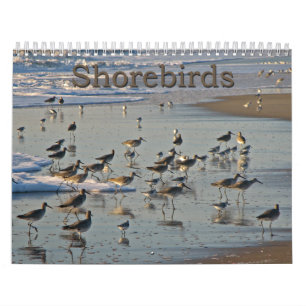 Calendrier Mural Charadriidés atlantiques