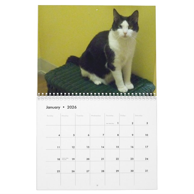 Calendrier Mural Chat "aquarium populaire " de smoking (Jan 2026)