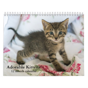 Calendrier Mural Chatons adorables 2025 Chatons Douze Mois Chat