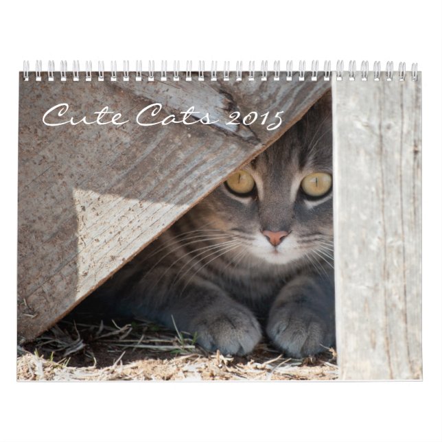 Calendrier Mural Chats mignons (Protection)