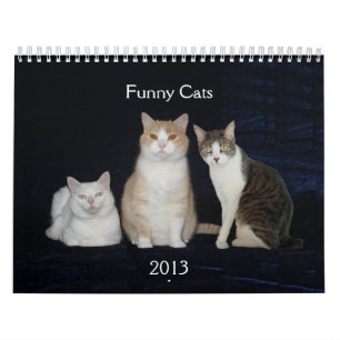 Calendrier Mural Chats/minous drôles