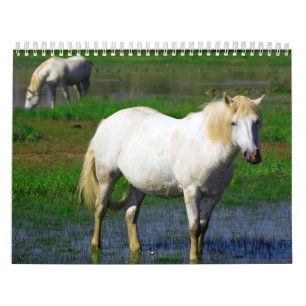 CALENDRIER MURAL CHEVAUX BLANCS