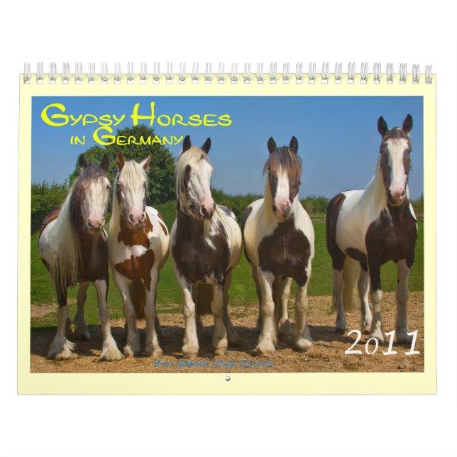 Calendrier Mural Chevaux gitans en Allemagne 2016 (Protection)