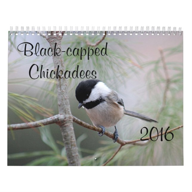 Calendrier Mural Chickadee (Protection)