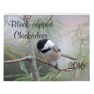 Calendrier Mural Chickadee