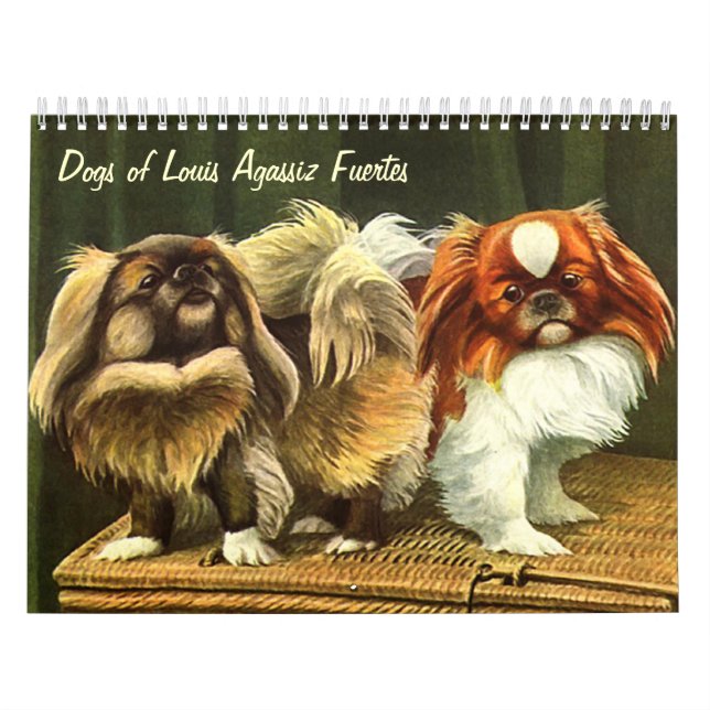 Calendrier Mural Chiens de Louis Agassiz Fuertes (Protection)